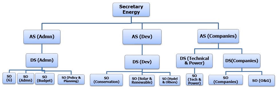 organogram